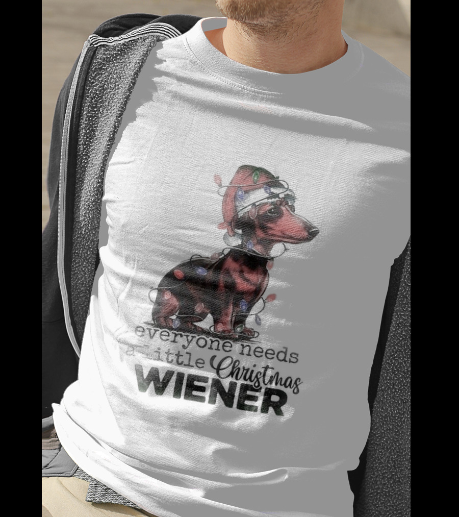 Everyone Needs A Little Christmas Wiener Dachshund With Lights And Santa Hat T-Shirt