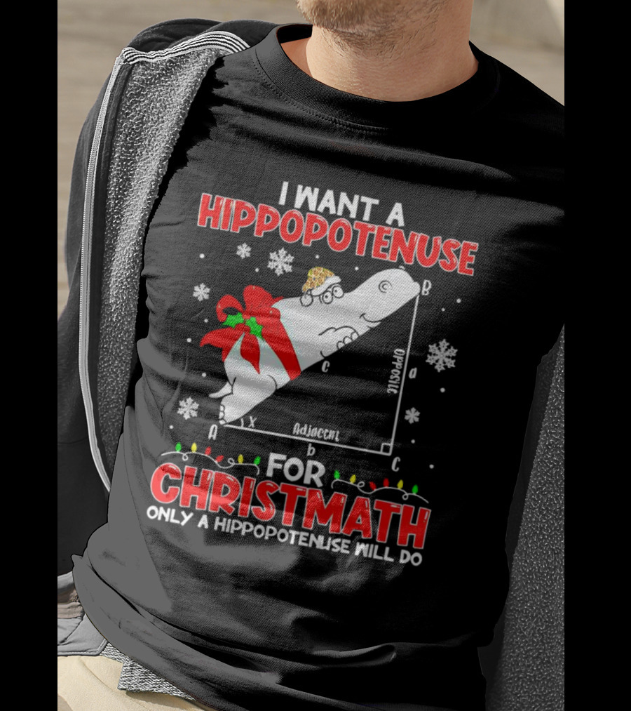 I Want A Hippopotenuse For Christmath Christmas Only A Hippopotenuse Will Do T-Shirt