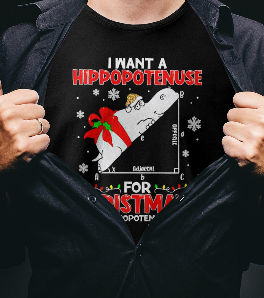 I Want A Hippopotenuse For Christmath Christmas Only A Hippopotenuse Will Do T-Shirt
