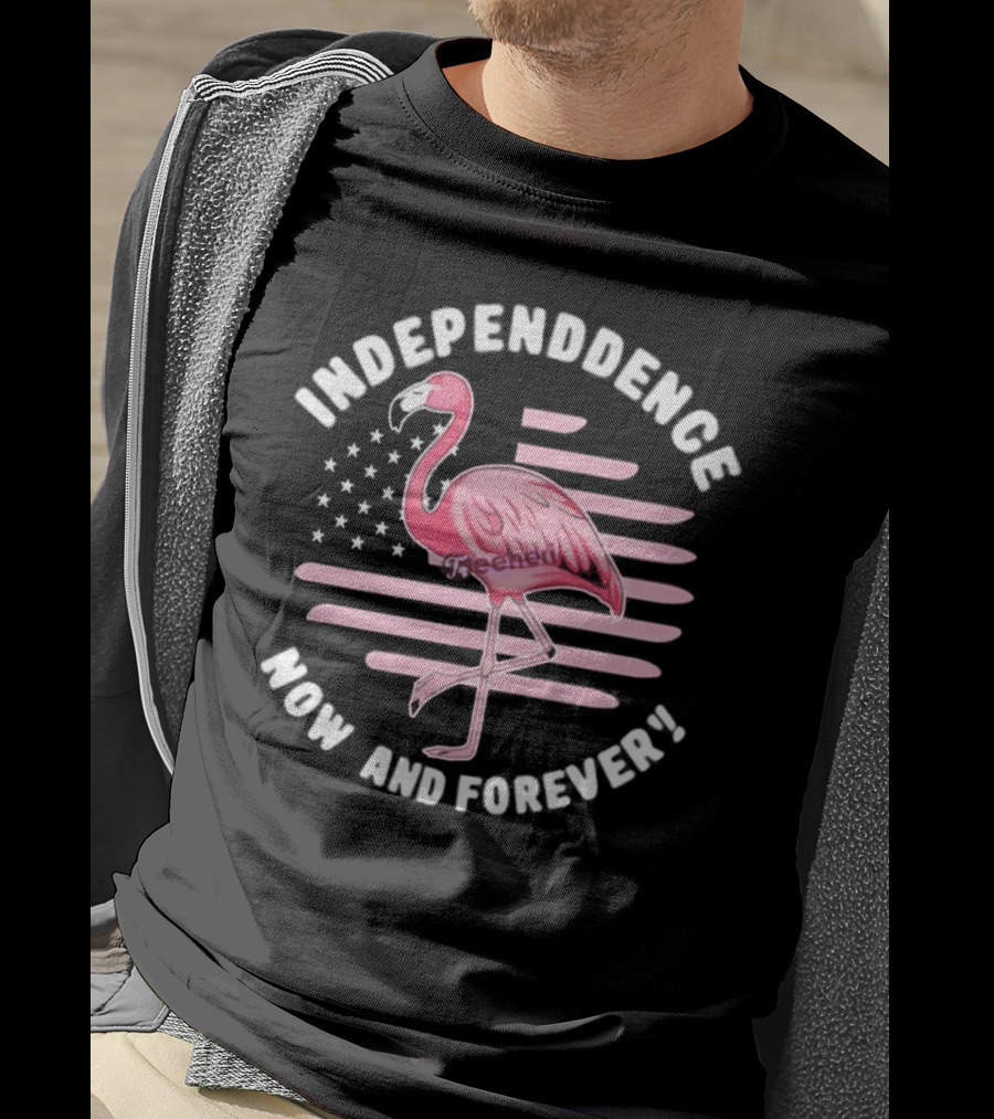 Independence Now And Forever Flamingo America Flag T-Shirt