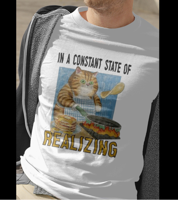 In A Constant State Of Realizing Cat Cooking Pancakes Flame Pan T-Shirt
