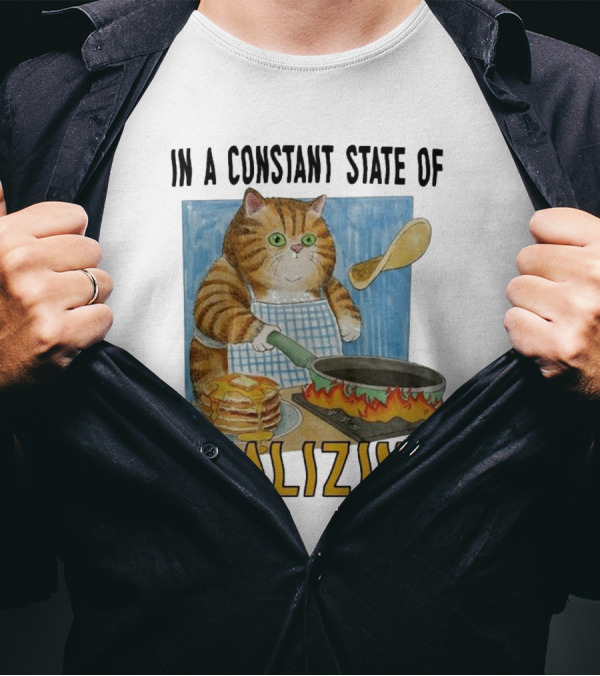 In A Constant State Of Realizing Cat Cooking Pancakes Flame Pan T-Shirt