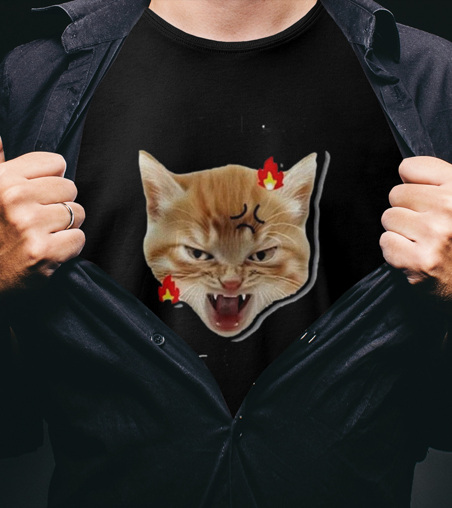 Childless Angry Cat Lady Voter Flame Emoji T-Shirt