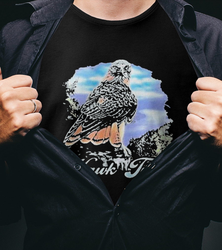 Hawk Tuah Scenic 70s Vintage Style Bird T-Shirt