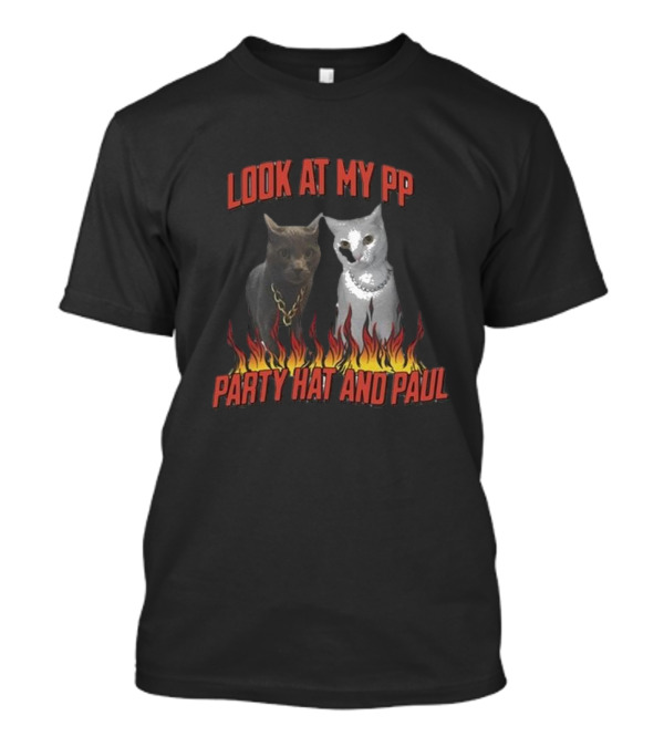 Look At My Pp Party Hat And Paul Cats With Flames T-Shirt