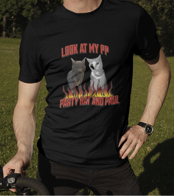 Look At My Pp Party Hat And Paul Cats With Flames T-Shirt