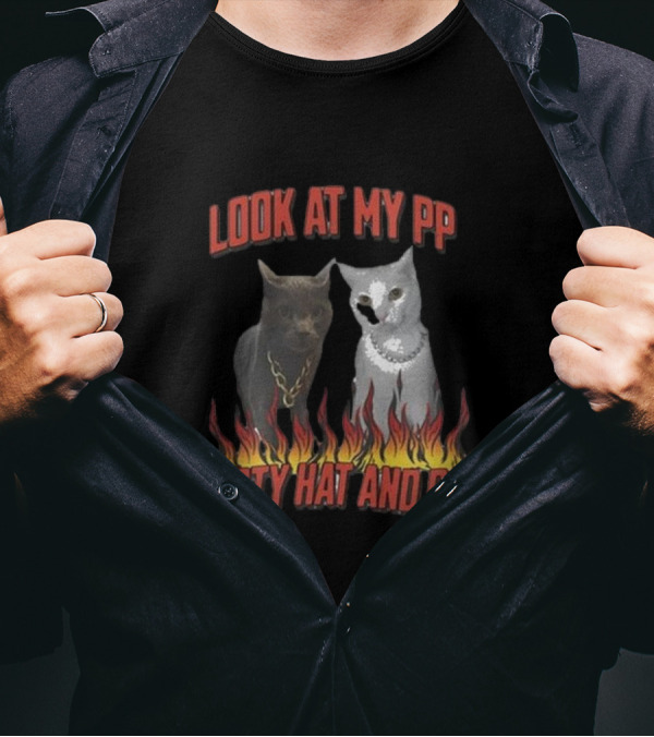 Look At My Pp Party Hat And Paul Cats With Flames T-Shirt