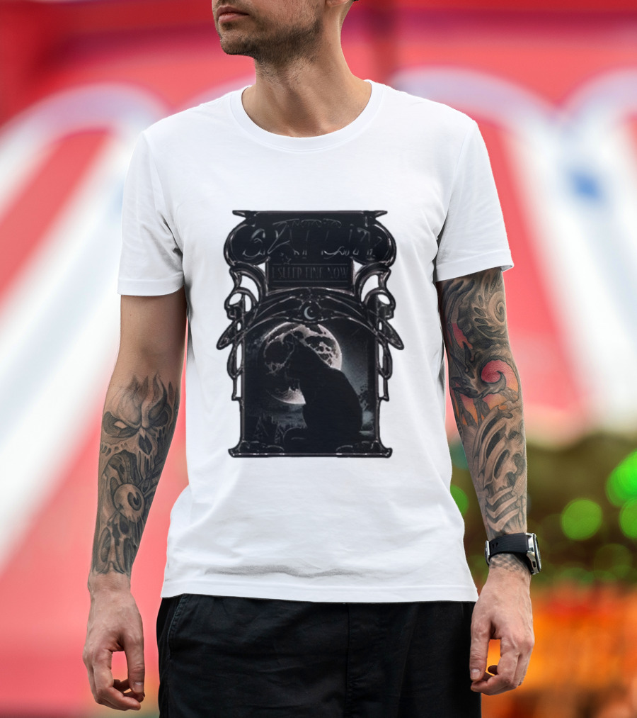 Gatlin Binx Asleep Til Now Moon Cat T-Shirt