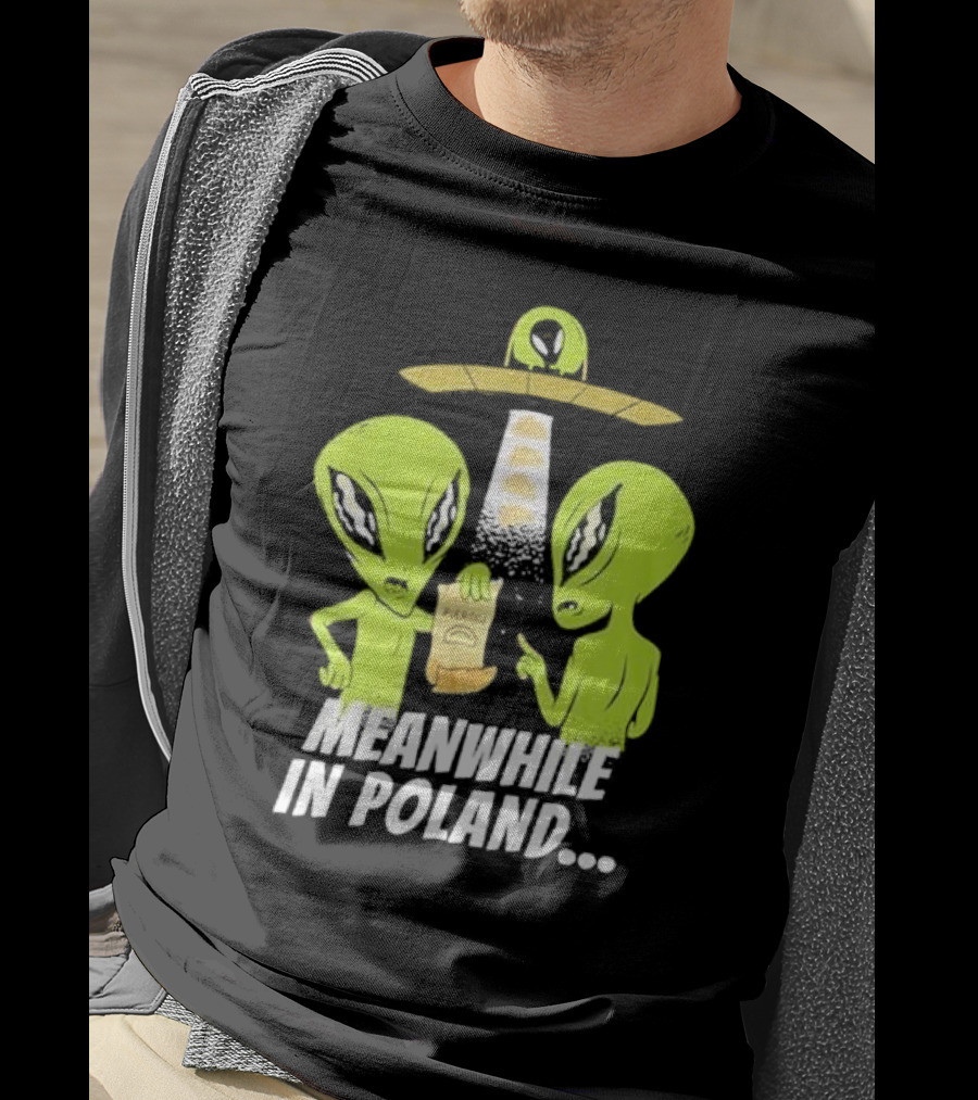 Meanwhile In Poland Alien Abduction Pierogi T-Shirt