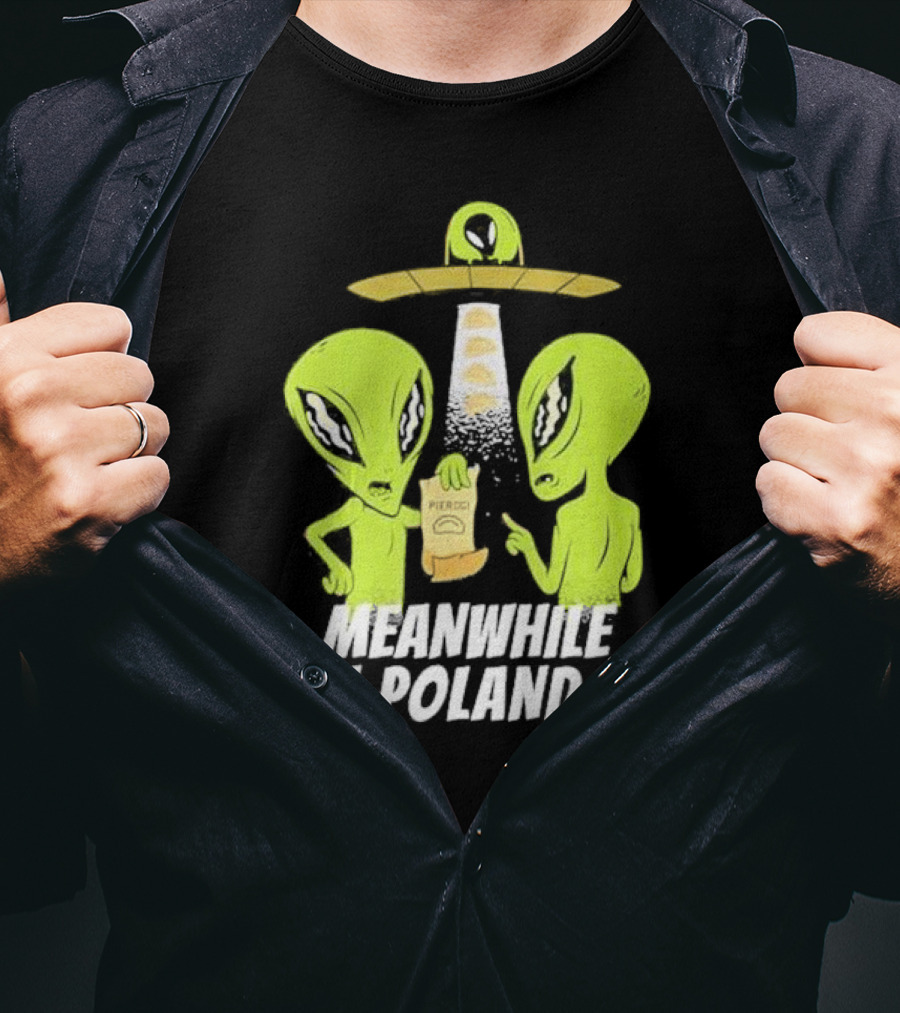 Meanwhile In Poland Alien Abduction Pierogi T-Shirt