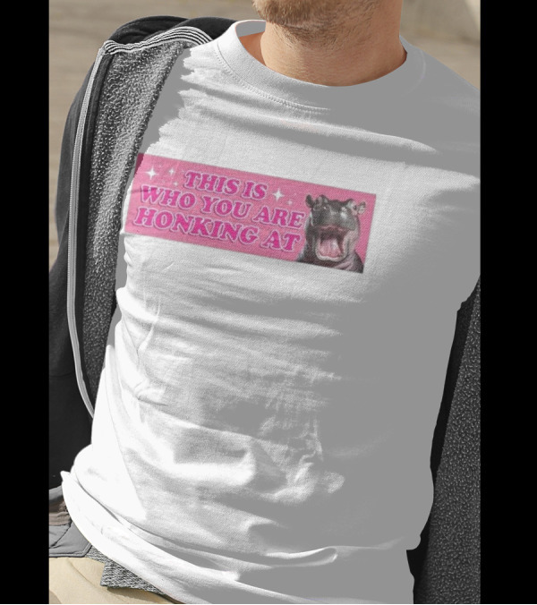 This Is Who You Are Honking At Hippo T-Shirt