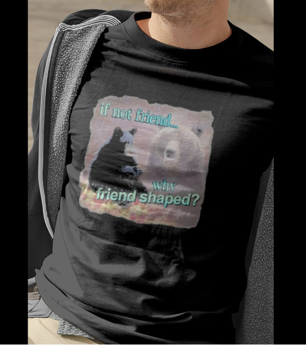 Snazzy Seagull If Not Friend Why Friend Shaped Bear T-Shirt