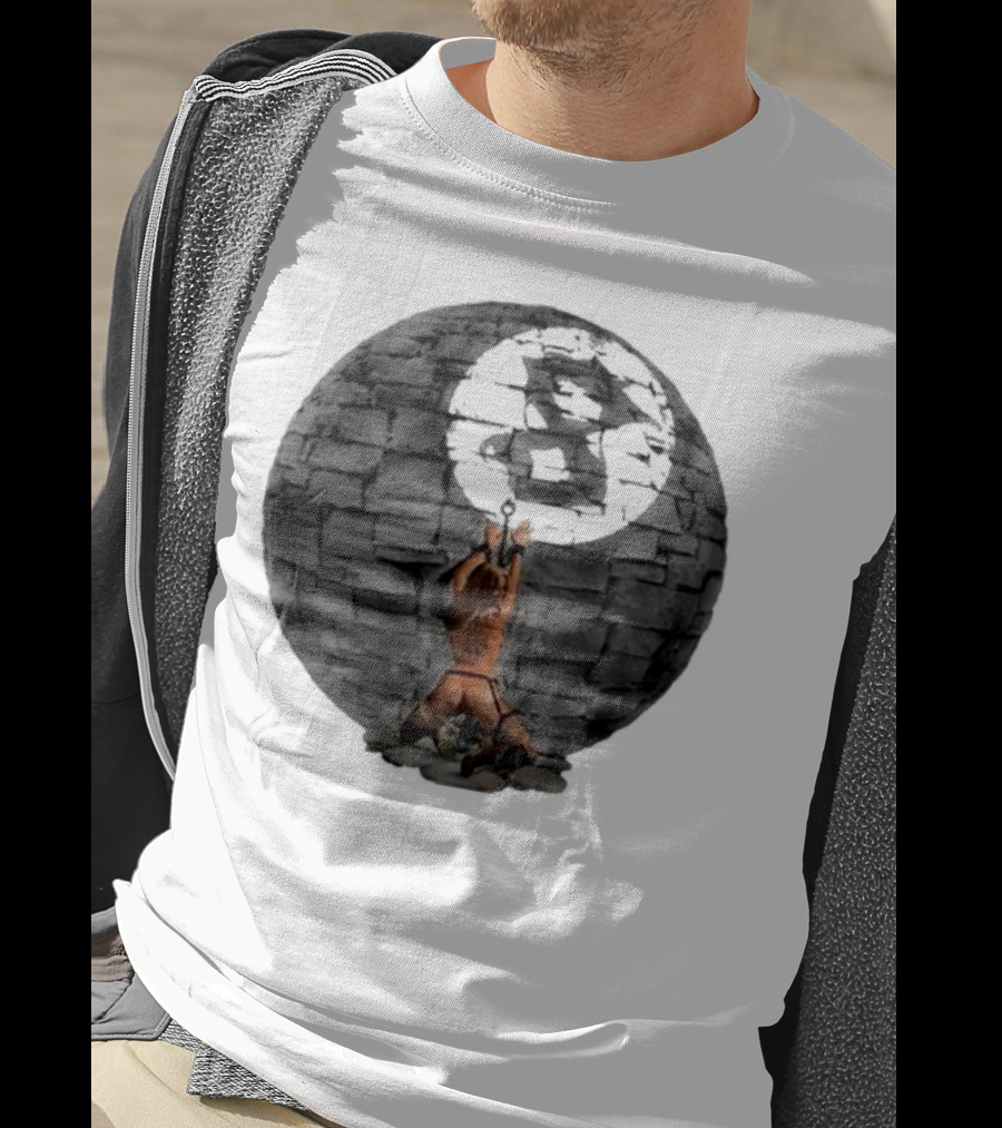 Section8la Chained Pet Prison Sphere T-Shirt