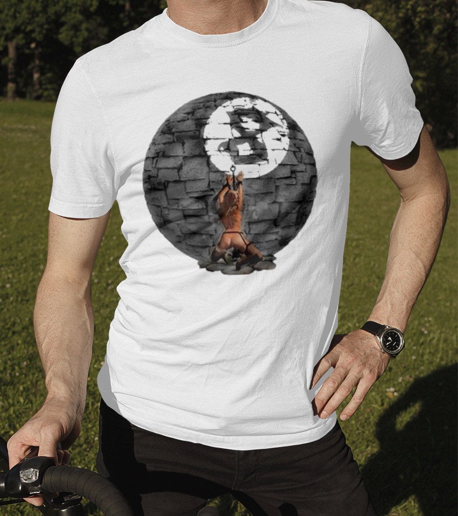 Section8la Chained Pet Prison Sphere T-Shirt