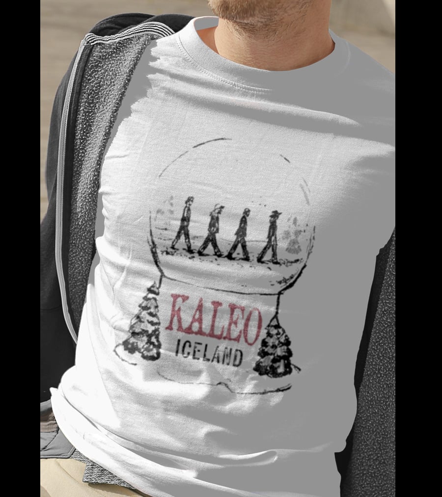 Kaleo Iceland Abbey Road Inspired Snow Globe T-Shirt