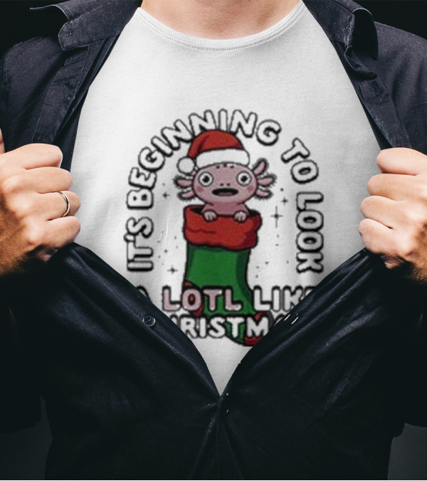 It’s Beginning To Look A Lotl Like Christmas 2024 Axolotl Santa Stocking T-Shirt