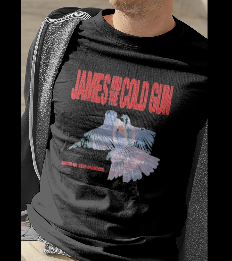 James And The Cold Gun Face In The Mirror Birds Image T-Shirt