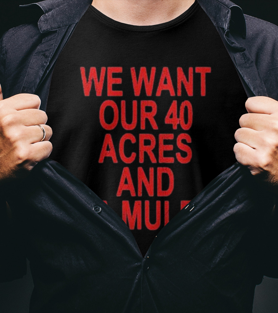 Spike Lee We Want Our 40 Acres And A Mule T-Shirt