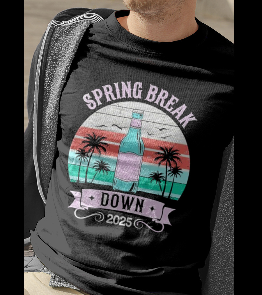 Spring Break Down 2025 Bottle Palms Retro Stripes Vintage Vibe T-Shirt