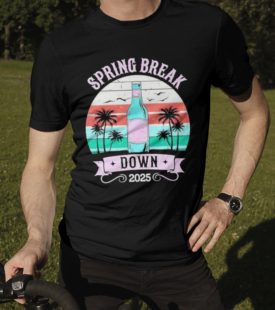 Spring Break Down 2025 Bottle Palms Retro Stripes Vintage Vibe T-Shirt