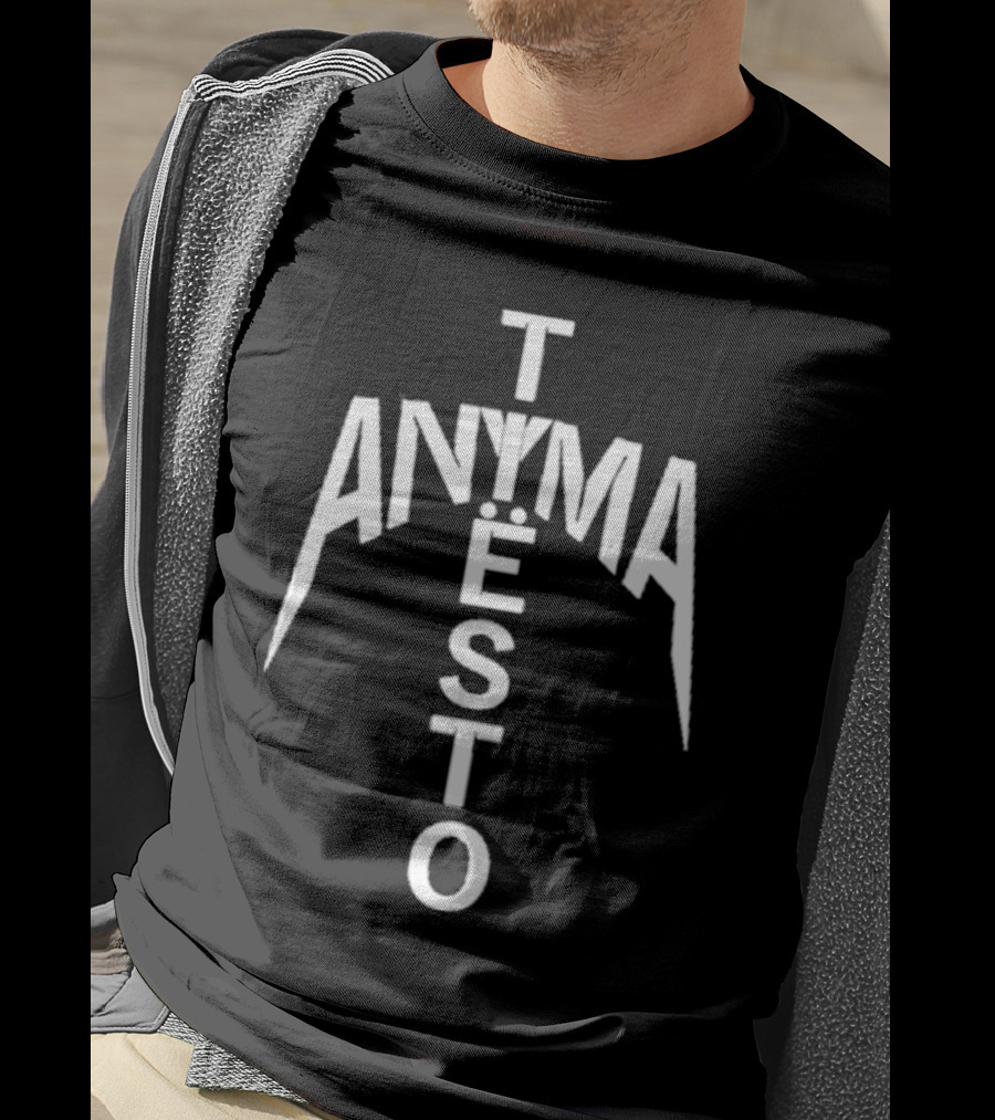 We Rave You Anyma Tiësto Typography Style T-Shirt
