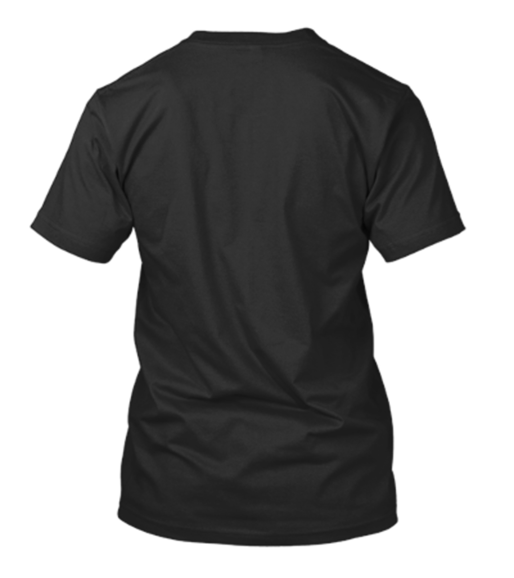 Wolverines Reliaquest Bowl Champions 2024 Michigan December 31 Raymond James Stadium T-Shirt