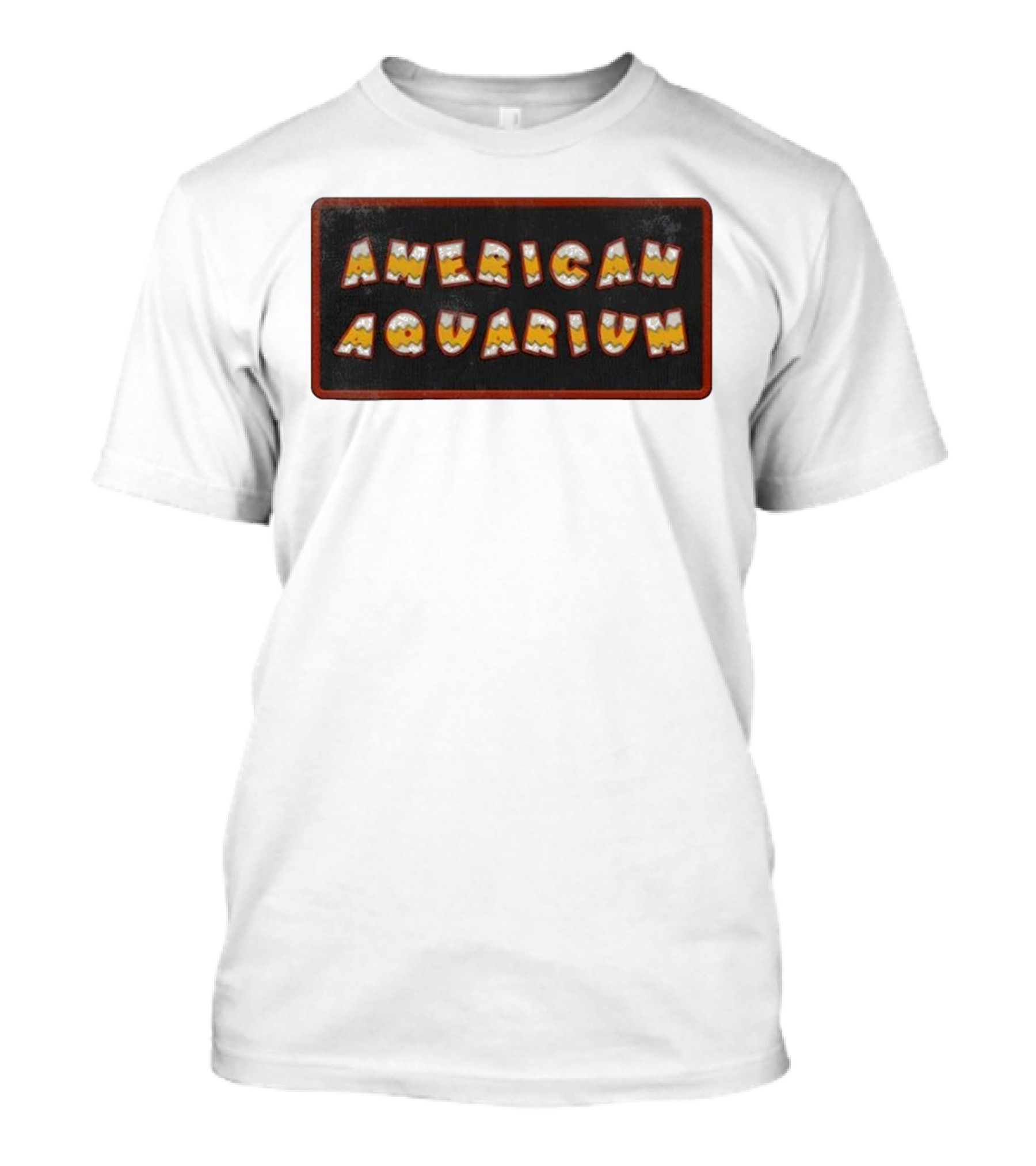 American Aquarium Vintage Aesthetic Letters T-Shirt