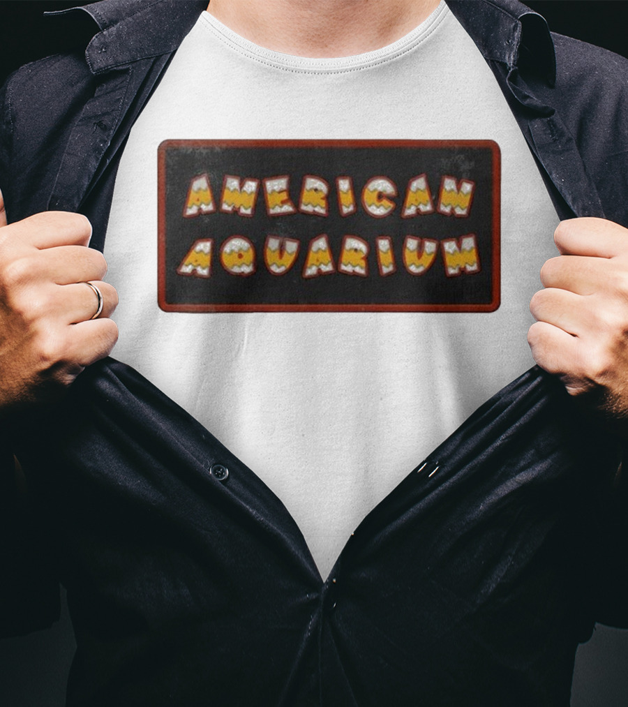 American Aquarium Vintage Aesthetic Letters T-Shirt
