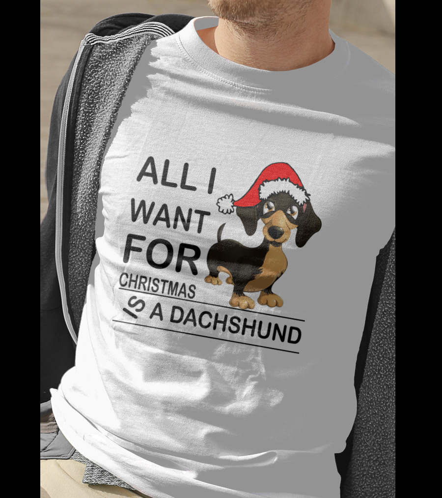 All I Want For Christmas Is A Dachshund Wearing Santa Hat T-Shirt