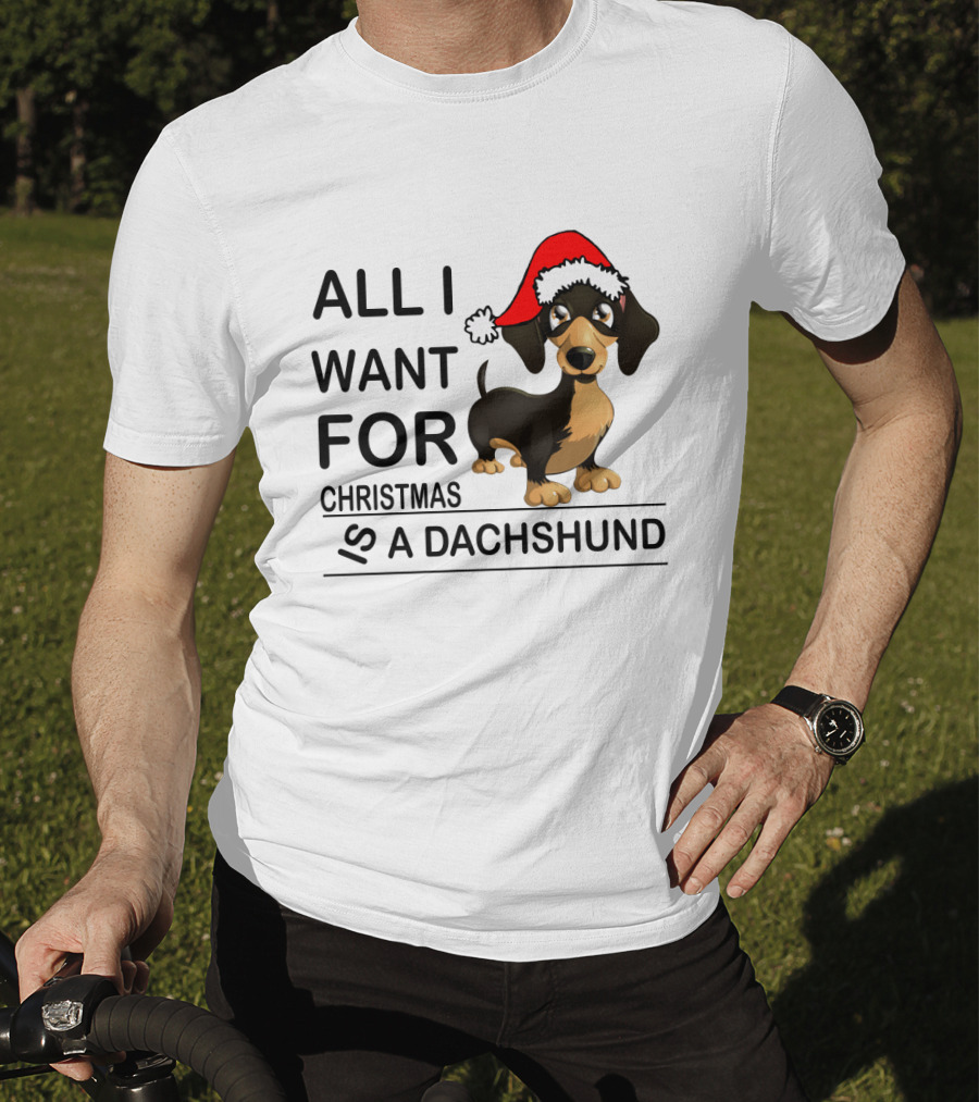 All I Want For Christmas Is A Dachshund Wearing Santa Hat T-Shirt