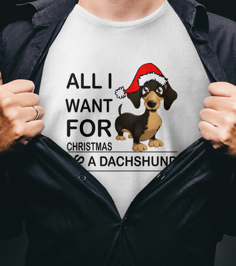 All I Want For Christmas Is A Dachshund Wearing Santa Hat T-Shirt