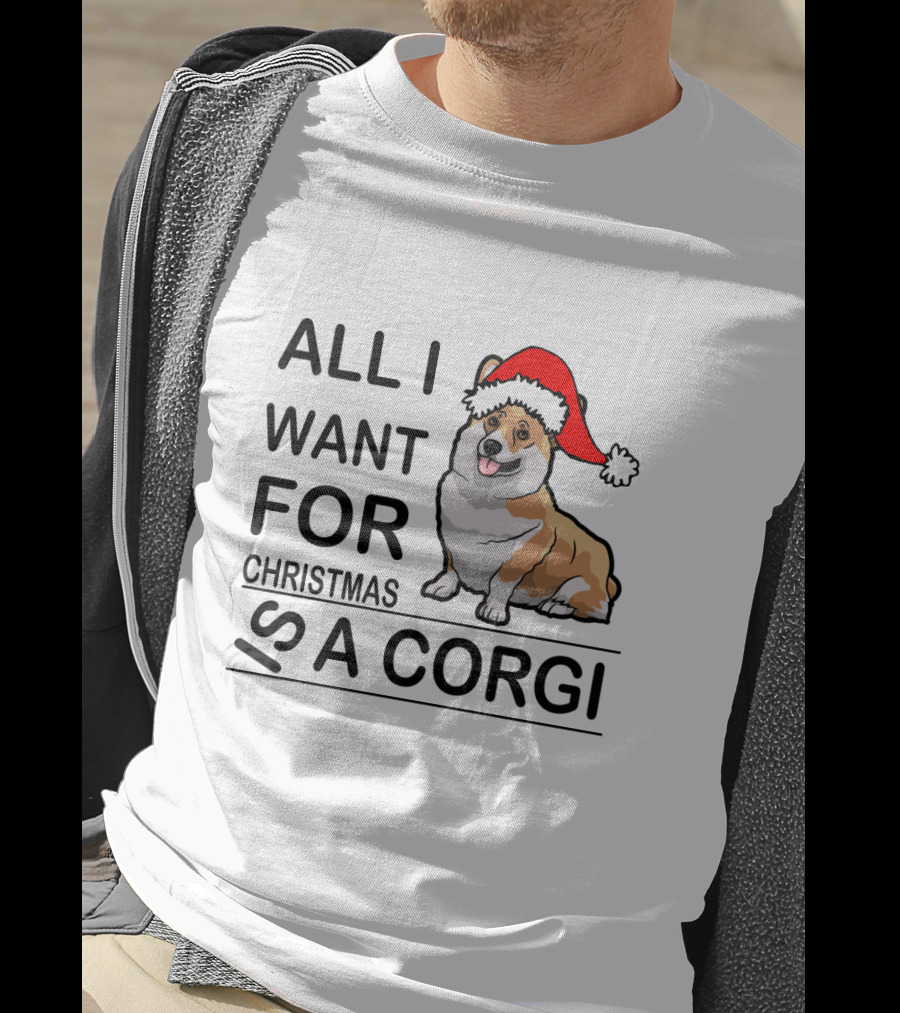 All I Want For Christmas Is A Corgi With Santa Hat T-Shirt