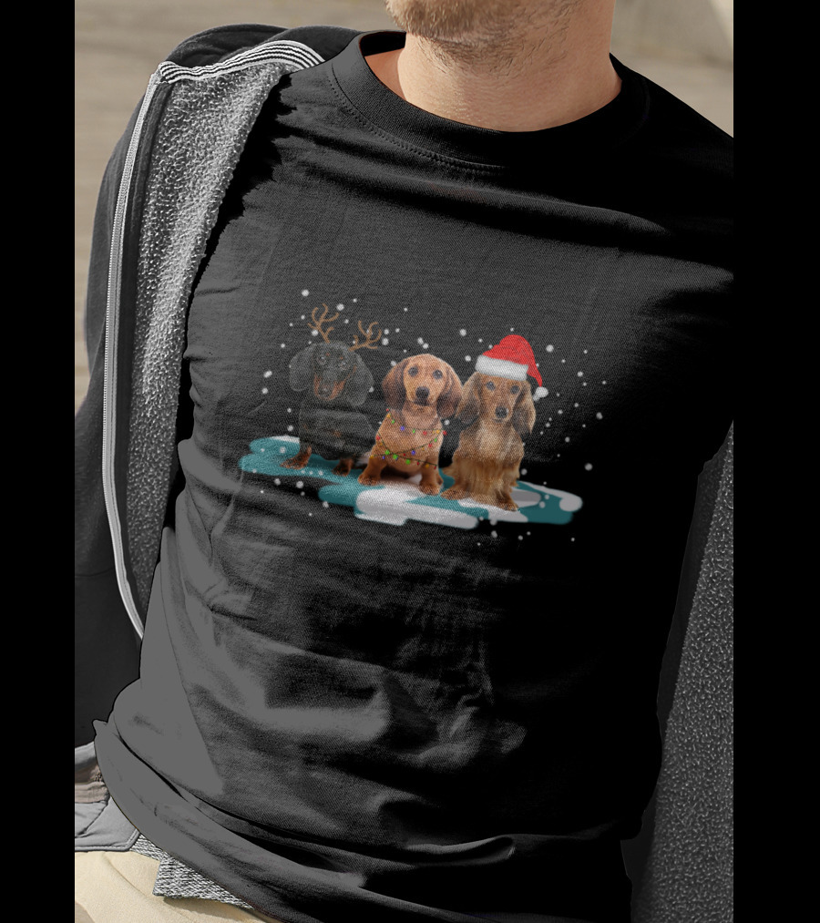 Dachshund Christmas Trio With Antlers And Santa Hat In Snowy Scene T-Shirt