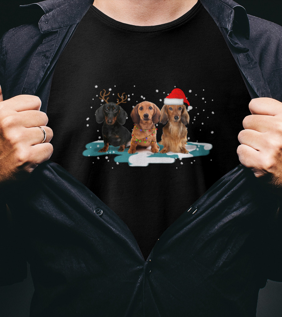Dachshund Christmas Trio With Antlers And Santa Hat In Snowy Scene T-Shirt