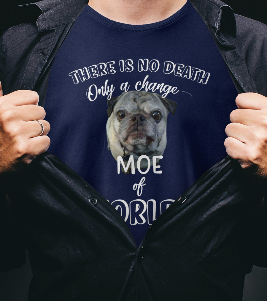 There Is No Death Only A Change Of Worlds Moe Pug T-Shirt
