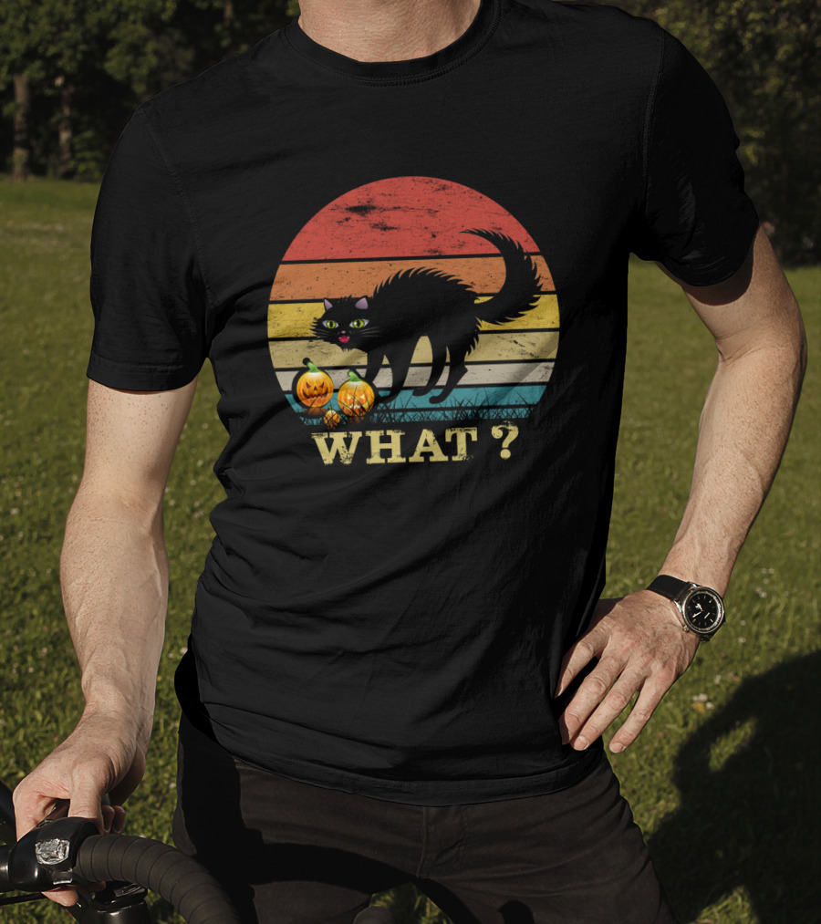 Black Cat What With Pumpkins Retro Sunset T-Shirt