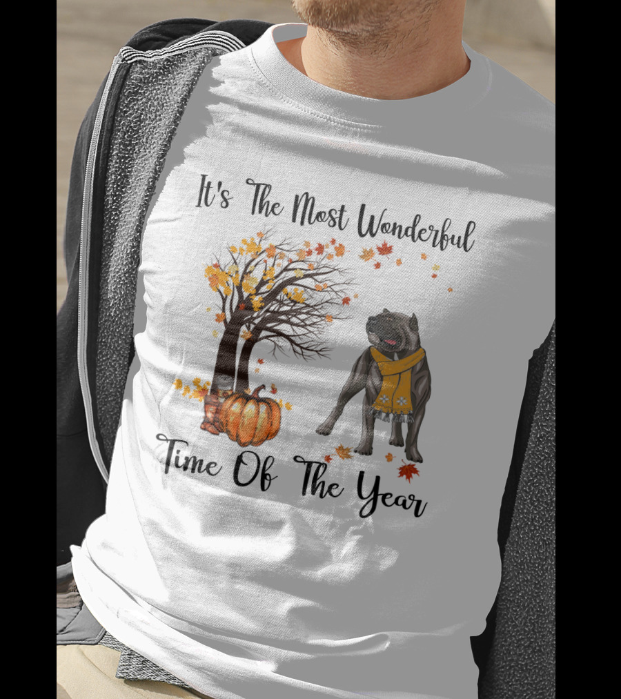 It's The Most Wonderful Time Of The Year Cane Corso Autumn Pumpkin Leaves Scarf T-Shirt