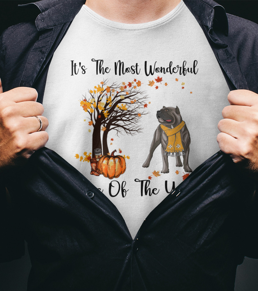 It's The Most Wonderful Time Of The Year Cane Corso Autumn Pumpkin Leaves Scarf T-Shirt