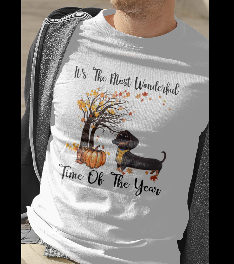 It's The Most Wonderful Time Of The Year Dachshund Halloween Pumpkin Autumn Leaves T-Shirt