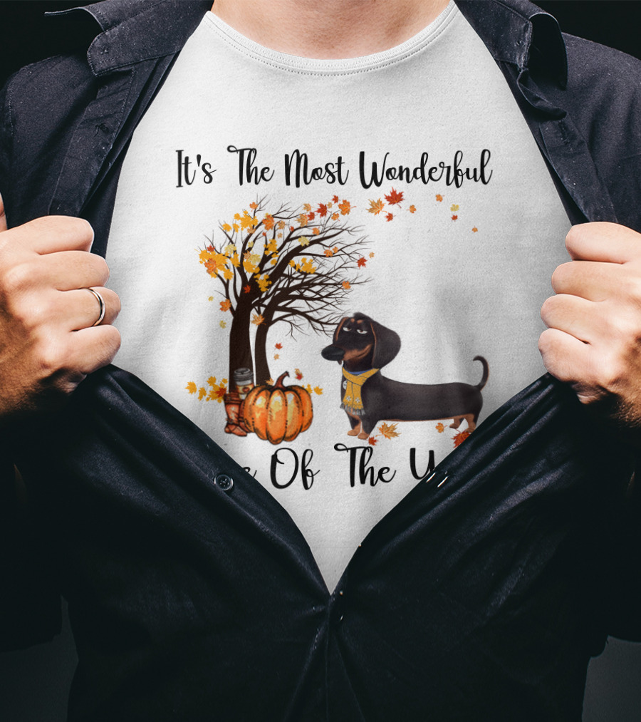 It's The Most Wonderful Time Of The Year Dachshund Halloween Pumpkin Autumn Leaves T-Shirt