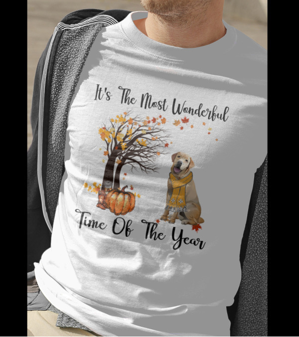 It's The Most Wonderful Time Of The Year Labrador Autumn Pumpkin Leaves T-Shirt