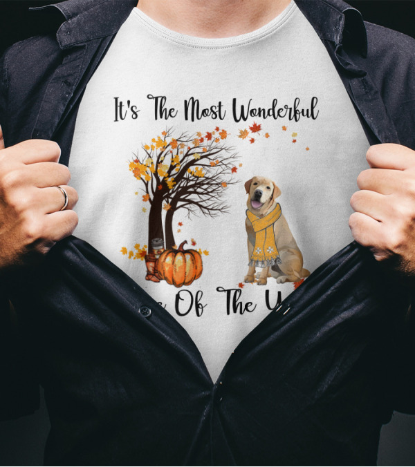 It's The Most Wonderful Time Of The Year Labrador Autumn Pumpkin Leaves T-Shirt