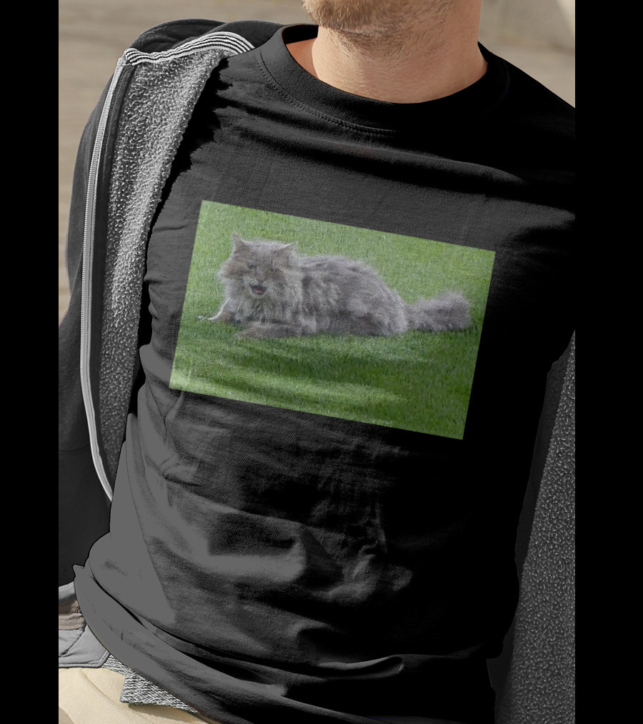 Cat Stops Play At Los Angeles Dodgers Stadium Event T-Shirt