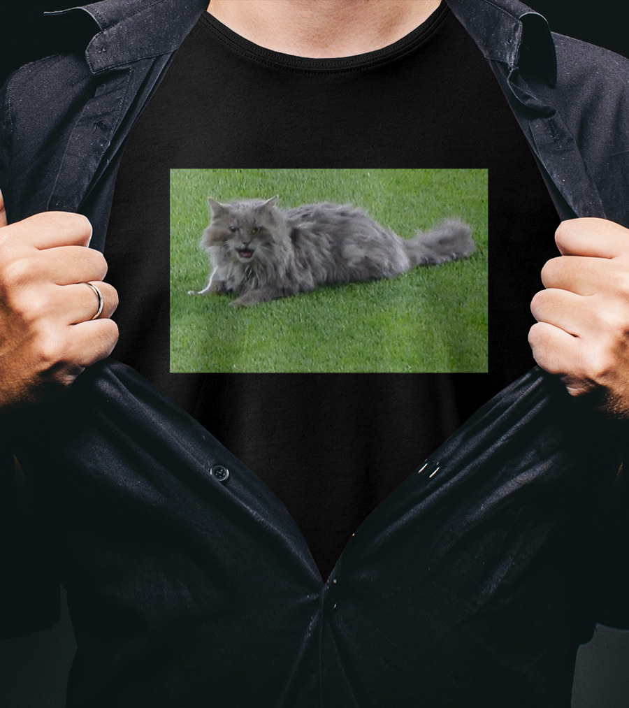 Cat Stops Play At Los Angeles Dodgers Stadium Event T-Shirt