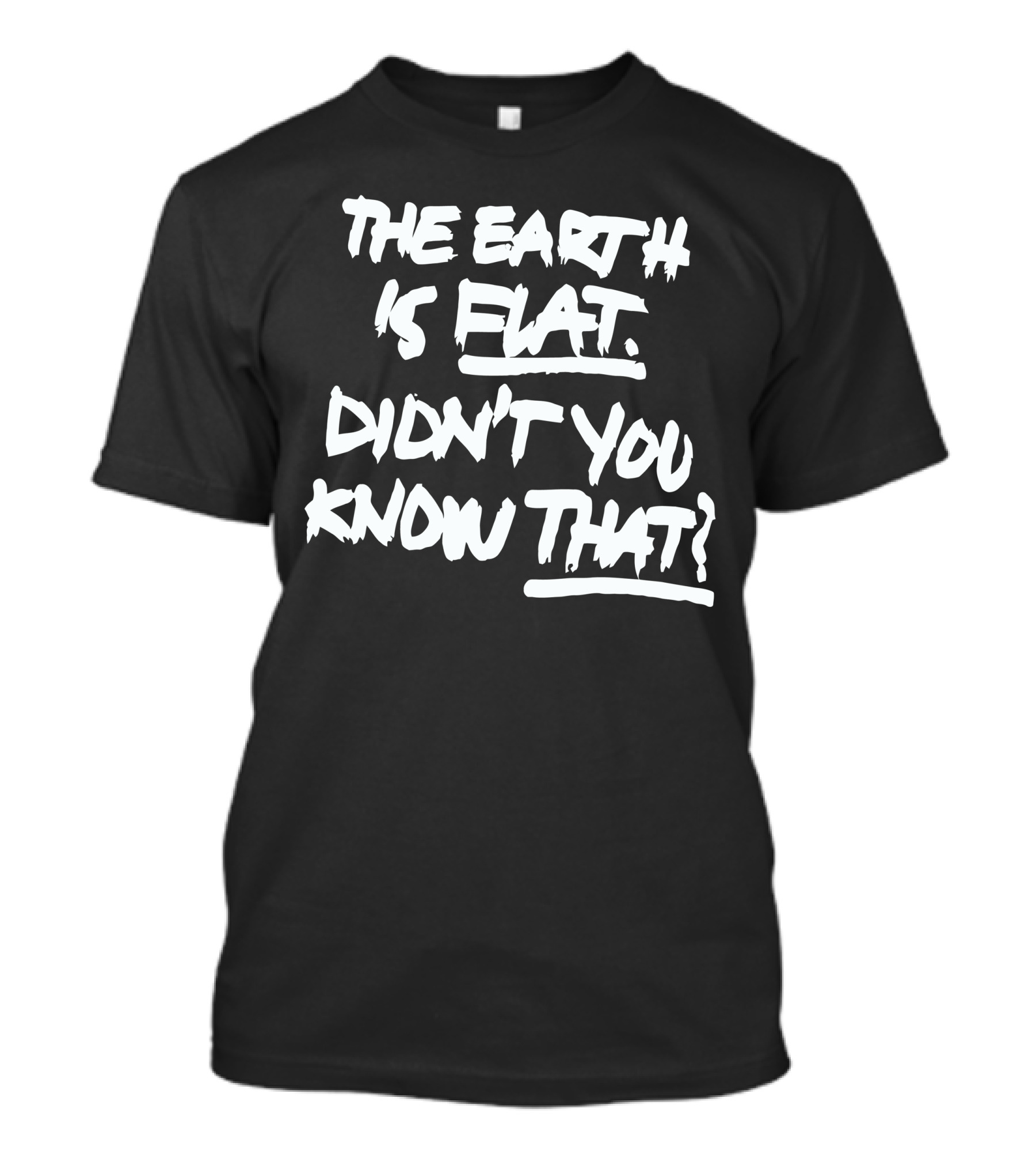 The Earth Is Flat Didn't You Know That T-Shirt