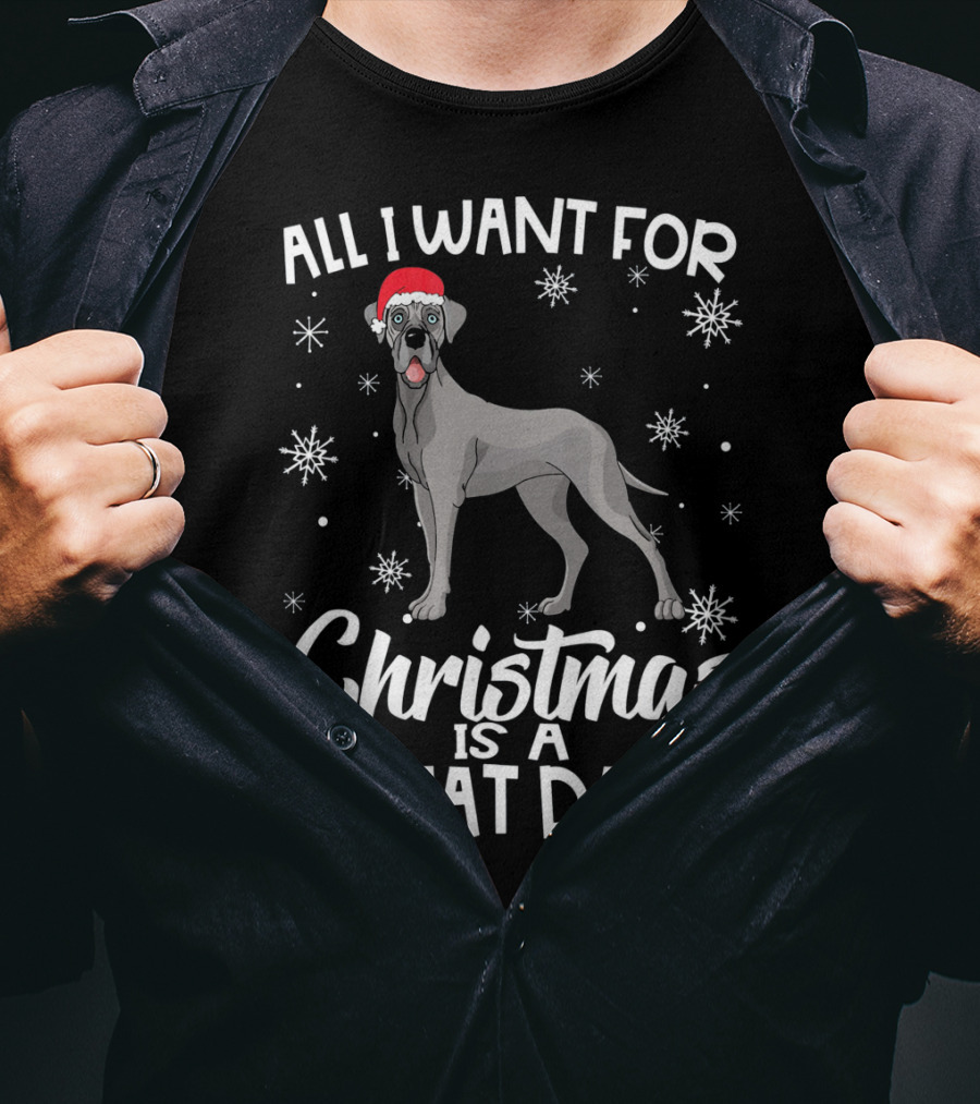 All I Want For Christmas Is A Great Dane With Santa Hat And Snowflakes T-Shirt