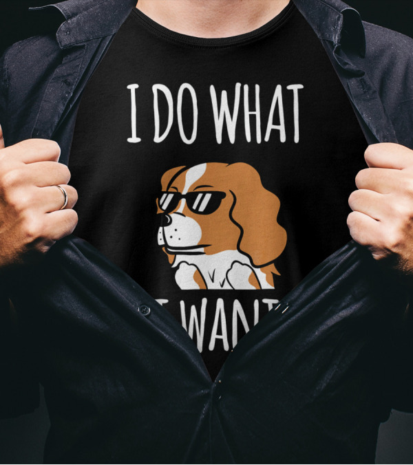 Cavalier King Charles Spaniel I Do What I Want Sunglasses T-Shirt