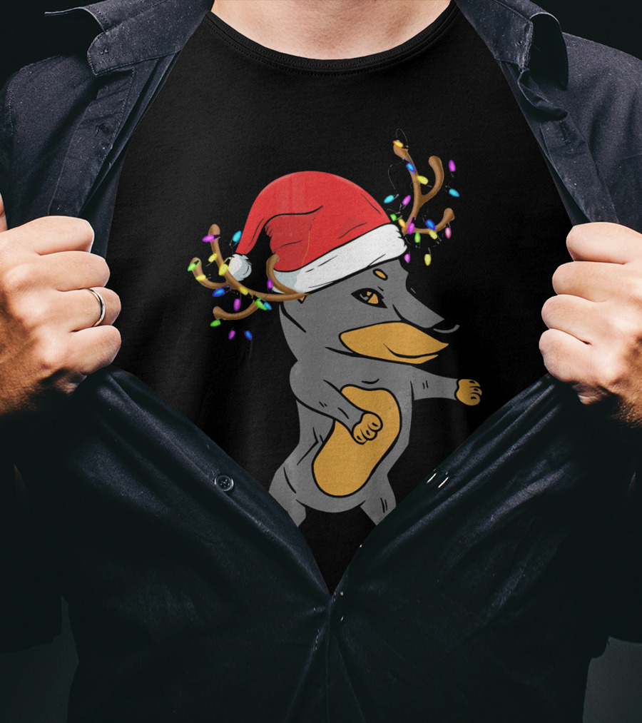Christmas Doberman Santa Hat Reindeer Antlers Lights Dog Lovers T-Shirt
