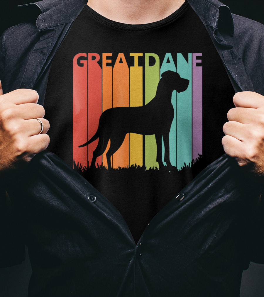 Great Dane Dog Silhouette Retro Rainbow Stripes T-Shirt
