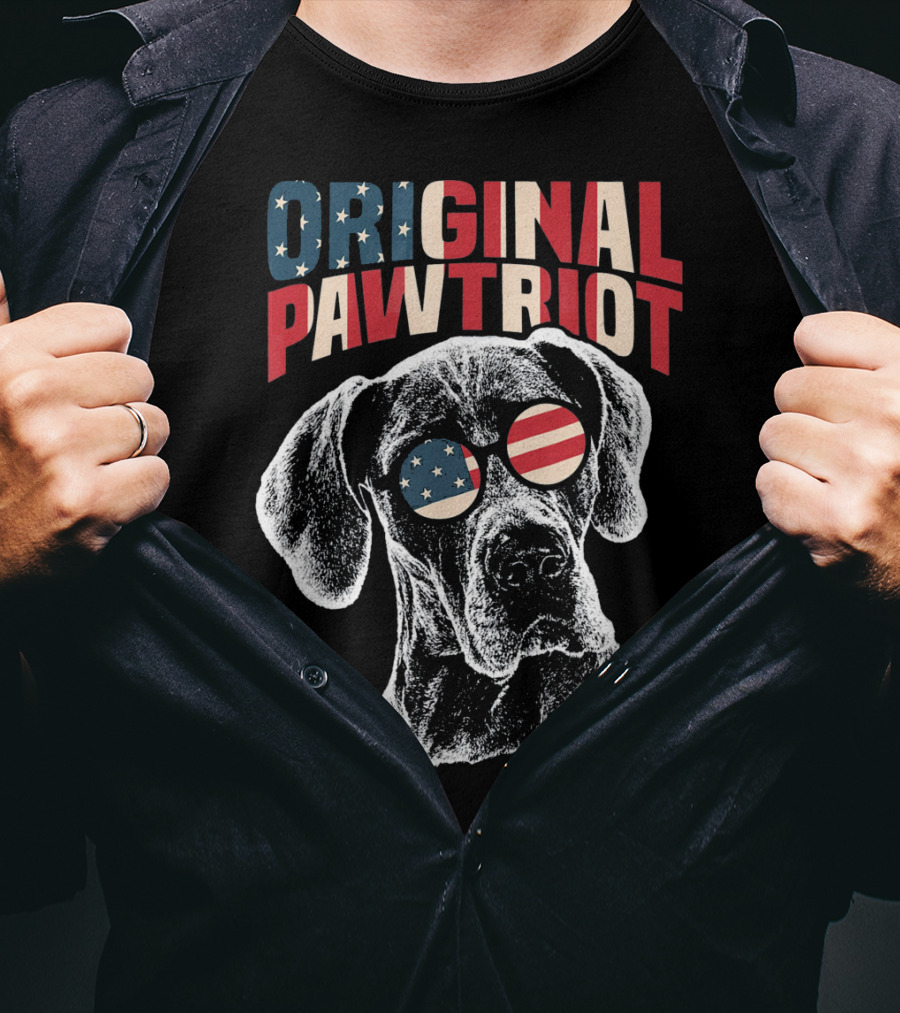 Original Pawtriot Great Dane USA Flag Funny July T-Shirt